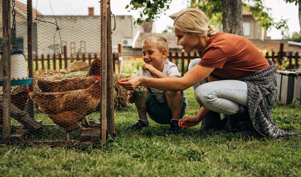 Custom Shop Builds for Hobby Farmers Uses & Ideas