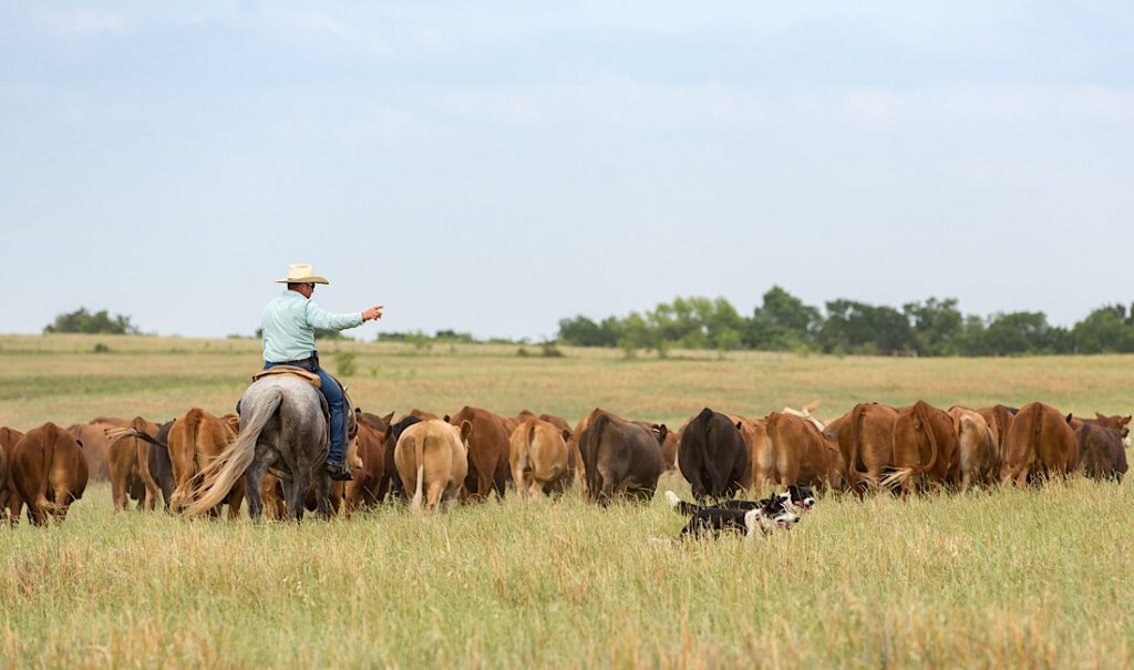 Custom Barns for Idaho Ranchers Durability & Design Tips