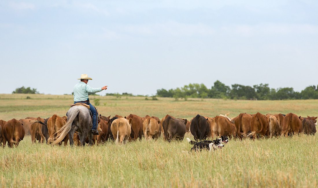 Custom Barns for Idaho Ranchers Durability & Design Tips