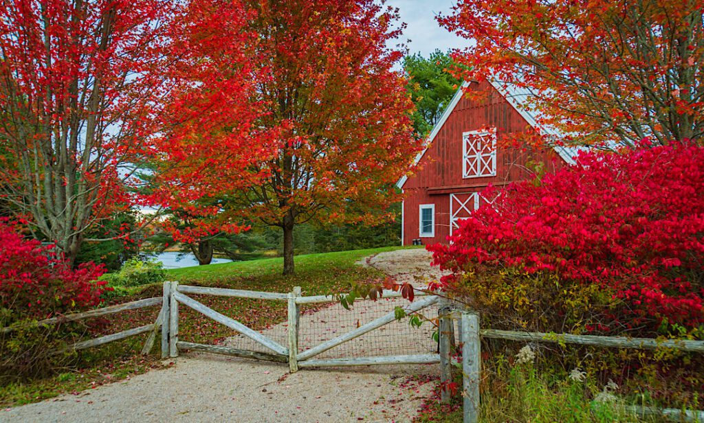 Pole Barn built in Autumn in Idaho